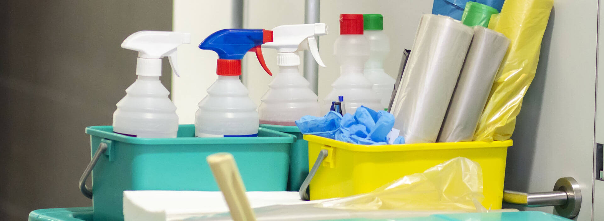 Cleaning Services