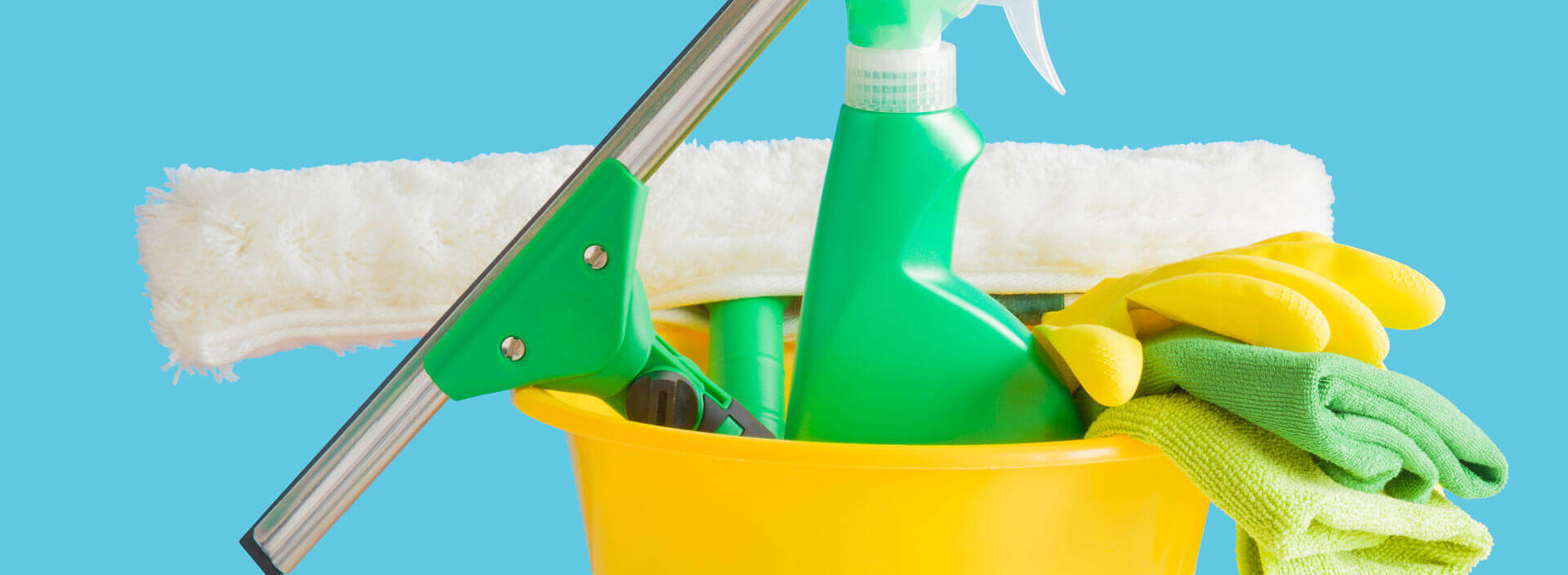 Janitorial Services